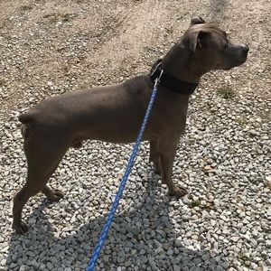 Meet your Posher, Ivan